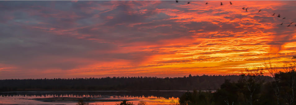 Tister Bauernmoor whrend des Kranichzuges.  Fotoschlumpfs Abenteuer!