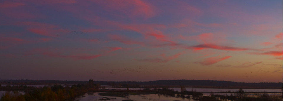 Sonnenuntergang ber dem Tister Bauernmoor.  Fotoschlumpfs Abenteuer!