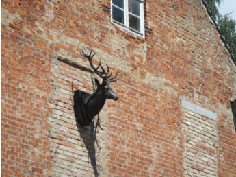 Hauswand mit Hirch -  by Fotoschlumpfs Abenteuer