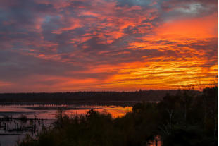 Kranichzug im Herbst  Fotoschlumpfs Abenteuerreisen