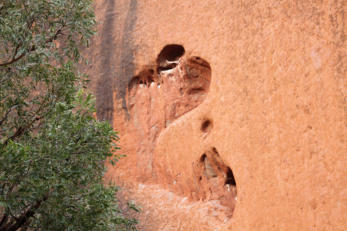 Fotoschlumpfs Abenteuerreisen am Uluru