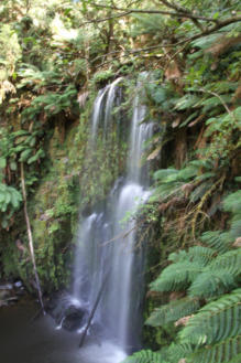 Fotoschlumpfs Abenteuerreisen an der Great Ocean Road unterwegs