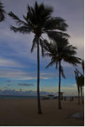 Fotoschlumpfs Abenteuerreisen erkundet Palm Beach