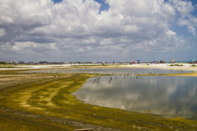 Fotoschlumpfs am Strand von Anna-Maria-Island