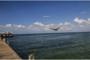 Fotoschlumpfs am Strand von Anna-Maria-Island