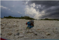 Bearefood Beach in Florida. (c) Fotoschlumpfs Abenteuerreisen.