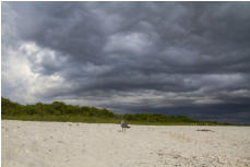 Bearefood Beach in Florida. (c) Fotoschlumpfs Abenteuerreisen.