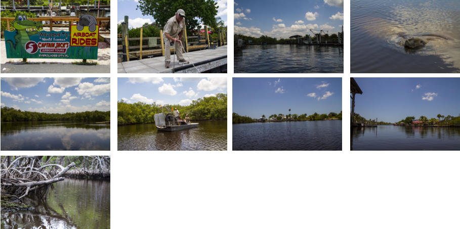 Mit dem Speedboat durch die Everglades