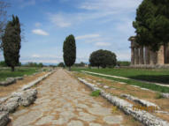 Die Tempelanlagen von Paestum. (c) Fotoschlumpfs Abenteuerreisen.