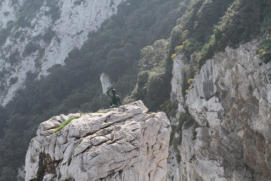 Fotoschlumpfs Abenteuerreisen auf Capri