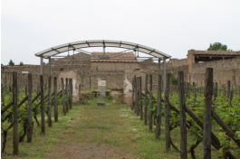 Fotoschlumpfs Abenteuerreisen in Pompeji