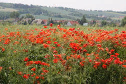 Fotoschlumpfs Abenteuerreisen auf dem Himmelsweg