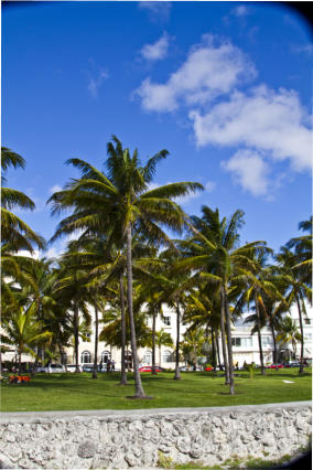 Miami und Umgebung. (c) Fotoschlumpfs Abenteuerreisen