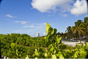 Miami und Umgebung. (c) Fotoschlumpfs Abenteuerreisen