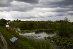 Fotoschlumpfs Abenteuerreisen in den Everglades