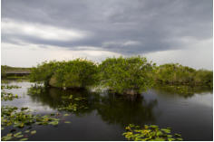 Fotoschlumpfs Abenteuerreisen in den Everglades