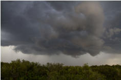 Fotoschlumpfs Abenteuerreisen in den Everglades