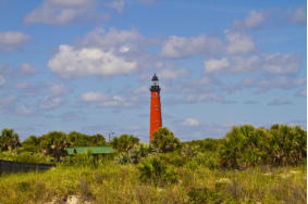 Bilder einer Rundreise durch Florida.