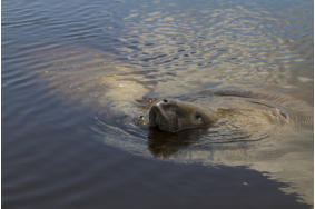 Bilder einer Rundreise durch Florida.