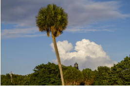 Key Biscayne; Florida, USA