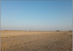 Fotoschlumpf und der weiter Strand von St. Peter 