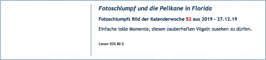 Fotoschlumpf und die Pelikane in Florida Fotoschlumpfs Bild der Kalenderwoche 52 aus 2019 - 27.12.19 Einfache tolle Momente, diesen zauberhaften Vgeln zusehen zu drfen.  Canon EOS 80 D