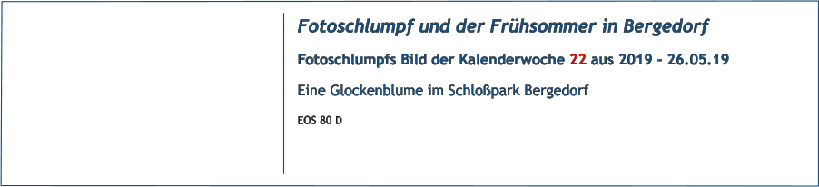 Fotoschlumpf und der Frühsommer in Bergedorf Fotoschlumpfs Bild der Kalenderwoche 22 aus 2019 - 26.05.19 Eine Glockenblume im Schloßpark Bergedorf EOS 80 D