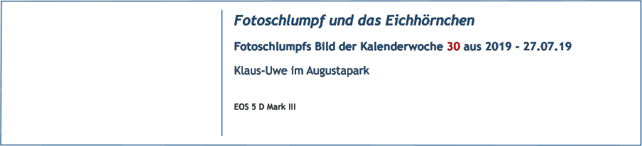 Fotoschlumpf und das Eichhörnchen Fotoschlumpfs Bild der Kalenderwoche 30 aus 2019 - 27.07.19 Klaus-Uwe im Augustapark  EOS 5 D Mark III