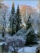 Schnee im Augustapark