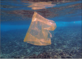 Plastik im Meer (c) Fotoschlumpfs Abenteuerreisen