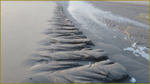 Fotoschlumpf am Strand von St. Peter Ording