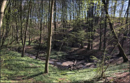 Fotoschlumpf und der Spaziergang in der #Dalbekschlucht (c) Fotoschlumpfs Abenteuerreisen