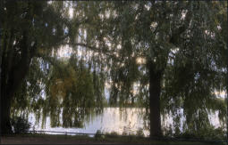 Fotoschlumpf an der #Außenalster (c) Fotoschlumpfs Abenteuerreisen