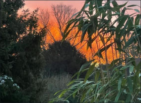 Fotoschlumpf und der #Sonnenaufgang in #Bergedorf (c) Fotoschlumpfs Abenteuerreisen