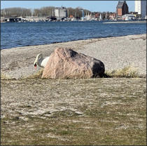 Fotoschlumpf und der #Masken-Winter in #Bergedorf c) Fotoschlumpfs Abenteuerreisen