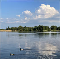 Fotoschlumpf und der #Elbe #Zollenspieker