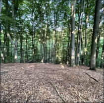 Fotoschlumpf und der #Schlucht in #Bergedorfer Gehölz