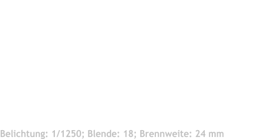 Fotoschlumpf und das Foto der Woche KW 22: Fotoschlumpfs Abenteuerreisen am Mississippi - in Mecklenburg  Aufnahmedatum 04.06.2016 12:56 Uhr  Ort: Schwanenwik Hamburg Bildgröße (Original): 7904  * 3806 Px Canon 5 D Mark III; EF 70 - 200  mm f2,8L USM.  ISO = 2000 Belichtung: 1/1250; Blende: 18; Brennweite: 24 mm