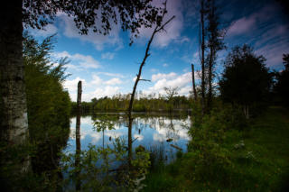 Das Hohe Moor bei Oldendorf @ Fotoschlumpfs Abenteuer