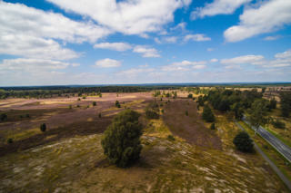 Die blühende Lüneburger Heide @ Fotoschlumpfs Abenteuer