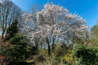 Fotoschlumpf zeigt den Frühling (c) Fotoschlumpfs Abenteuerreisen