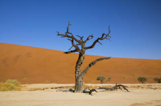 Dead Vlei Namibia  (c) Fotoschlumpfs Abenteuerreisen