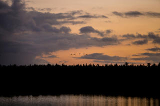 Abendstimmung im Bauernmoor  (c) Fotoschlumpfs Abenteuerreisen