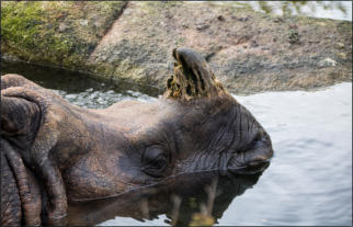 Tierpark Hellabrunn (c) Fotoschlumpfs Abenteuerreisen