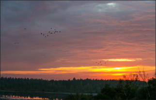 Sonnenuntergang im Moor (c) Fotoschlumpfs Abenteuerreisen