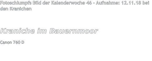 Fotoschlumpfs Bild der Kalenderwoche 46 - Aufnahme: 12.11.18 bei den Kranichen  Kraniche im Bauernmoor Canon 760 D