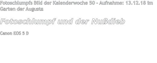 Fotoschlumpfs Bild der Kalenderwoche 50 - Aufnahme: 13.12.18 im Garten der Augusta Fotoschlumpf und der Nußdieb Canon EOS 5 D