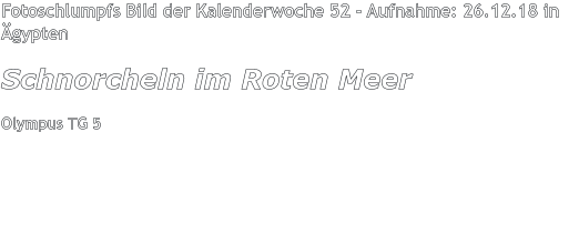 Fotoschlumpfs Bild der Kalenderwoche 52 - Aufnahme: 26.12.18 in Ägypten Schnorcheln im Roten Meer Olympus TG 5