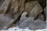 Similan Islands mit Fotoschlumpfs Abenteuerreisen