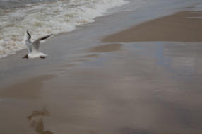 Usedom, Deutschlands zweitgrte Insel. Impressionen von Fotoschlumpfs Abenteuerreisen